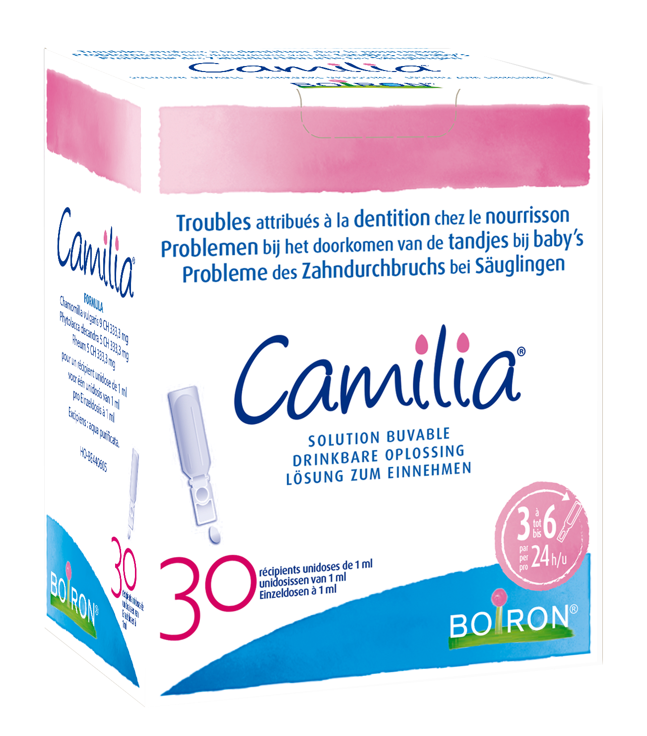Camilia